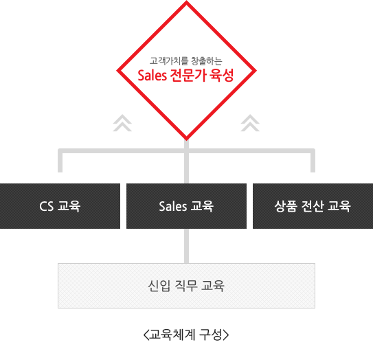 신입 직무 교육 → CS 교육,Sales 교육,상품 전산 교육 = 고객가치를 창출하는 Sales 전문가 육성