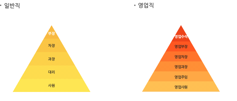 일반직:사원-대리-과장-차장-부장/영업직:영업사원-영업주임-영업과장-영업차장-영업부장-영업수석